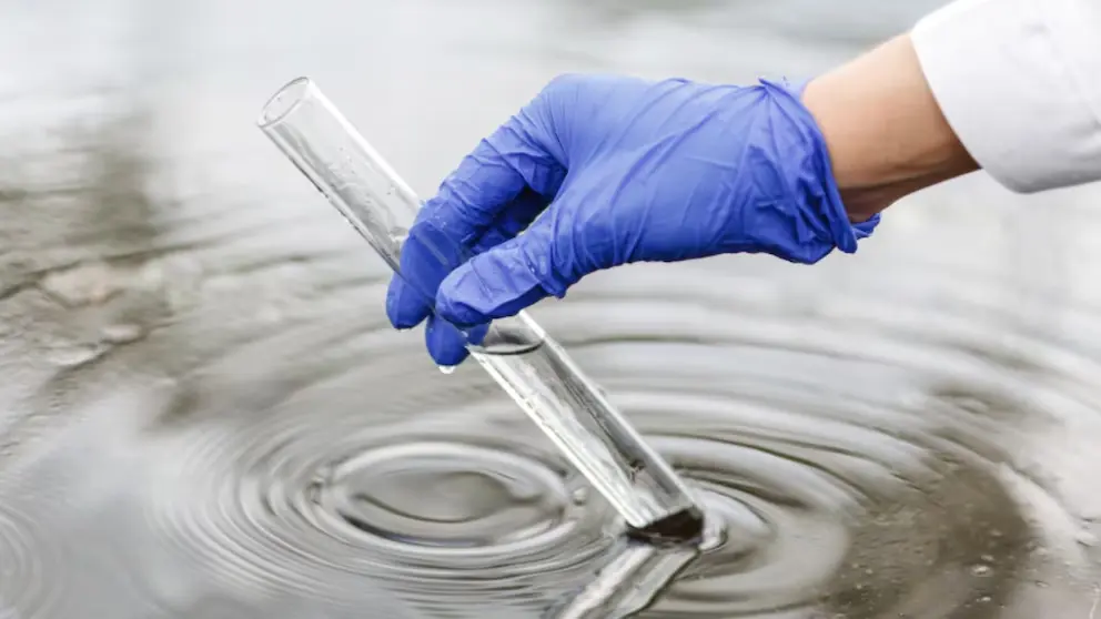 Descubren bacterias que degradan colorantes y podr�an reducir la contaminaci�n en arroyos del AMBA