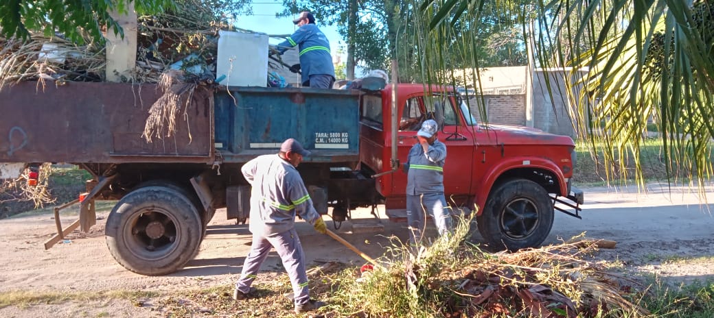 Trabajos de recoleccin, limpieza y reparacin correspondientes al lunes 28 de octubre